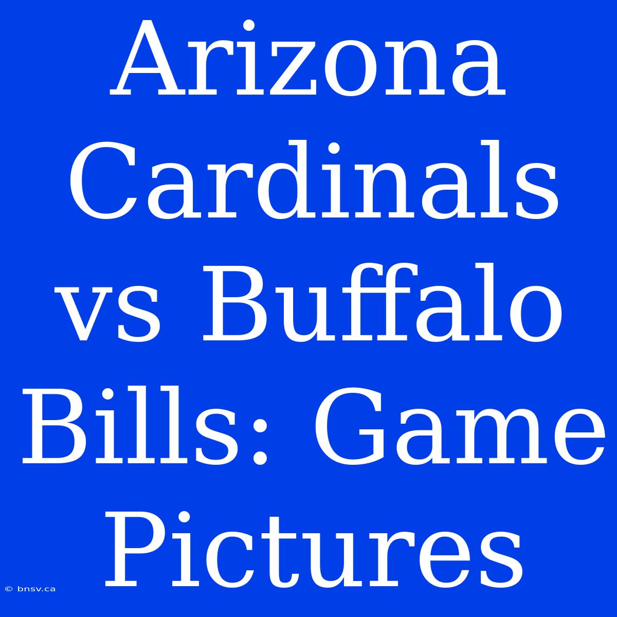 Arizona Cardinals Vs Buffalo Bills: Game Pictures