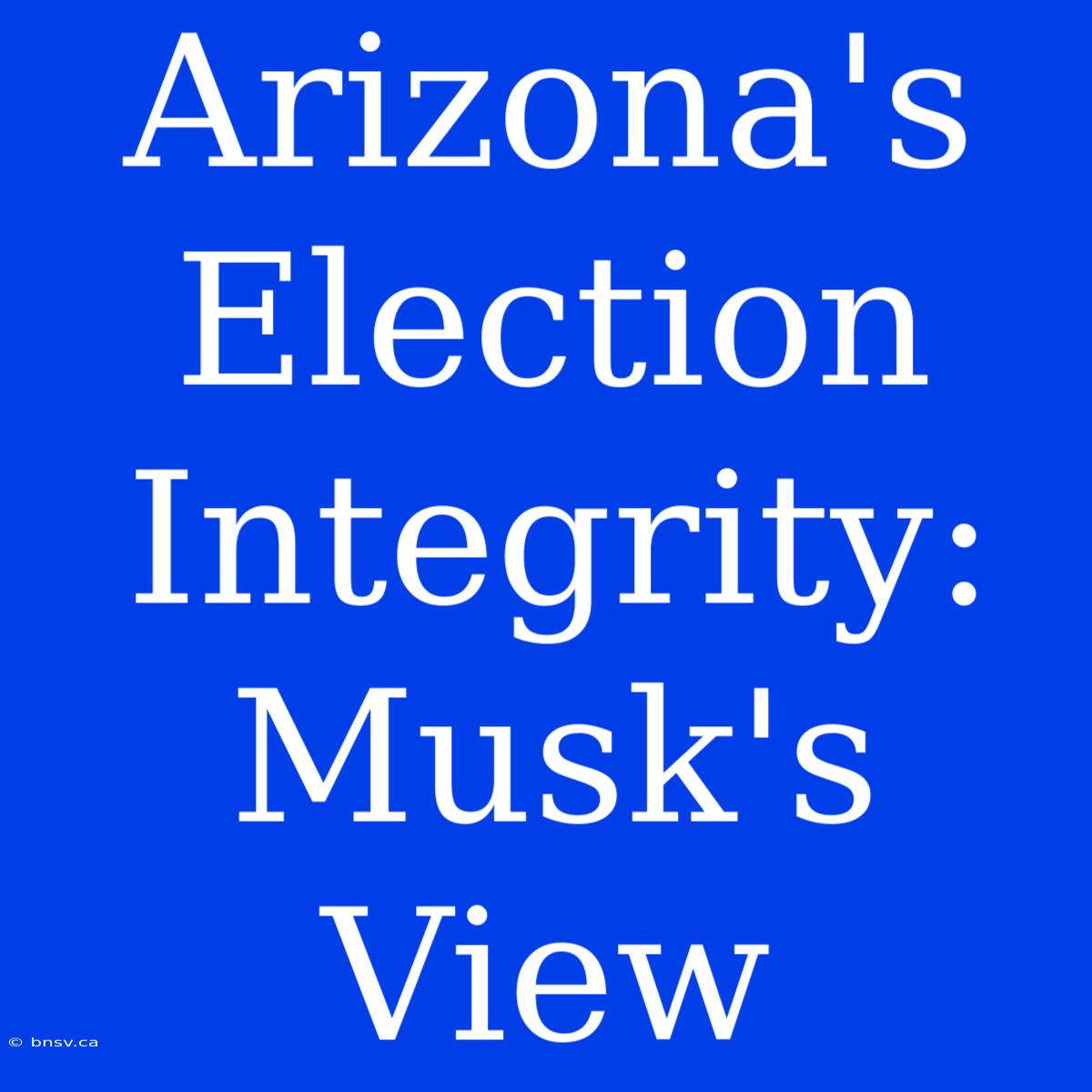 Arizona's Election Integrity: Musk's View