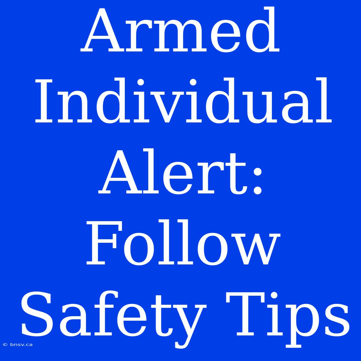 Armed Individual Alert: Follow Safety Tips