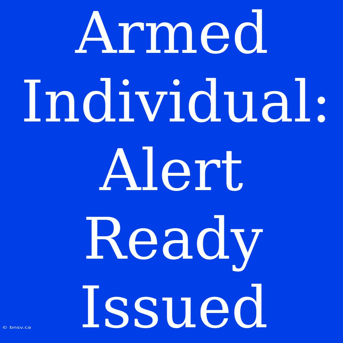 Armed Individual: Alert Ready Issued