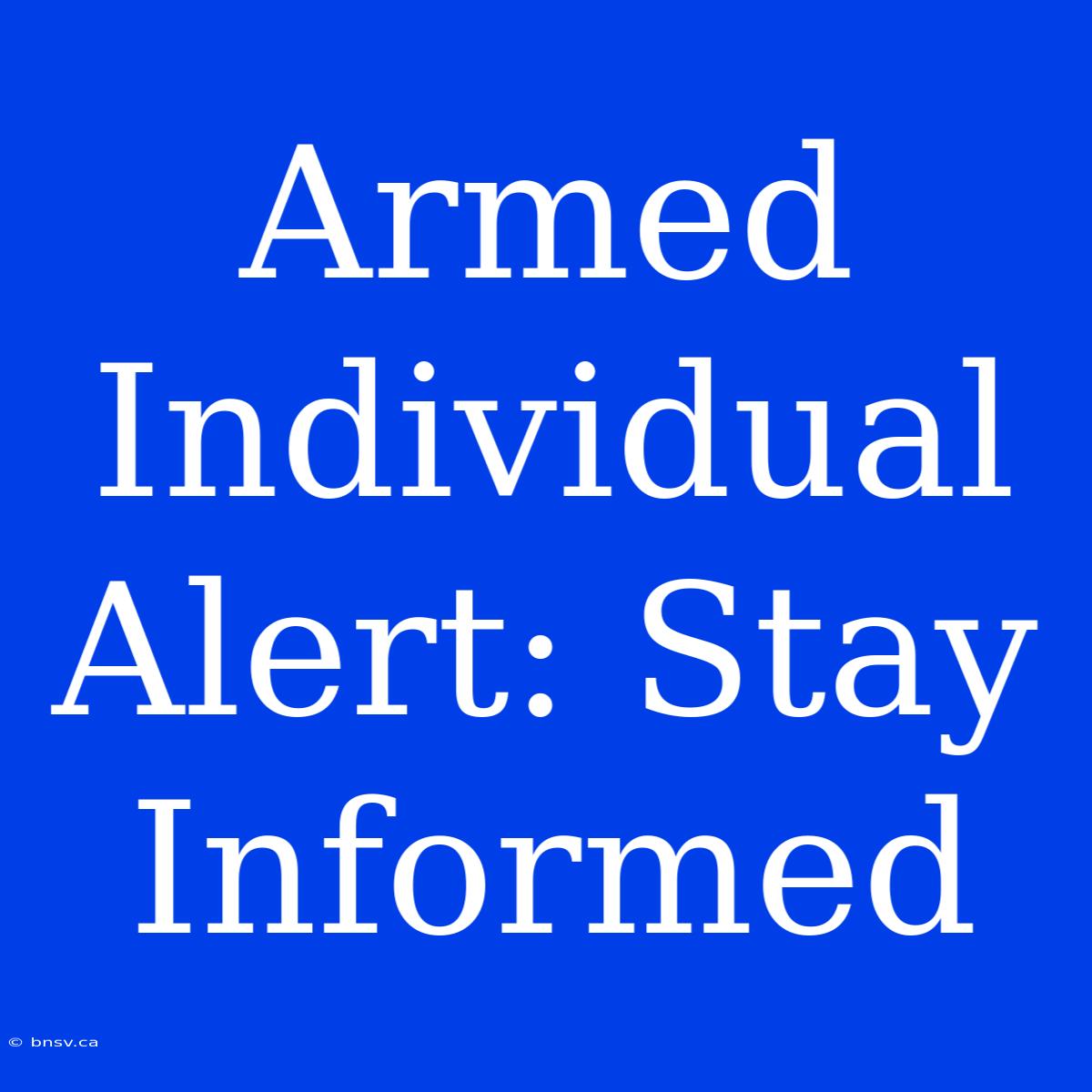 Armed Individual Alert: Stay Informed