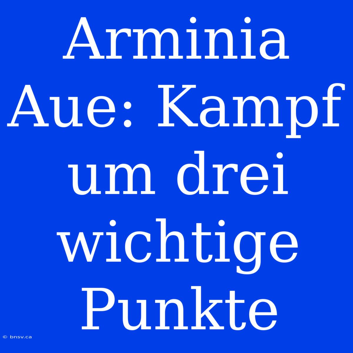 Arminia Aue: Kampf Um Drei Wichtige Punkte