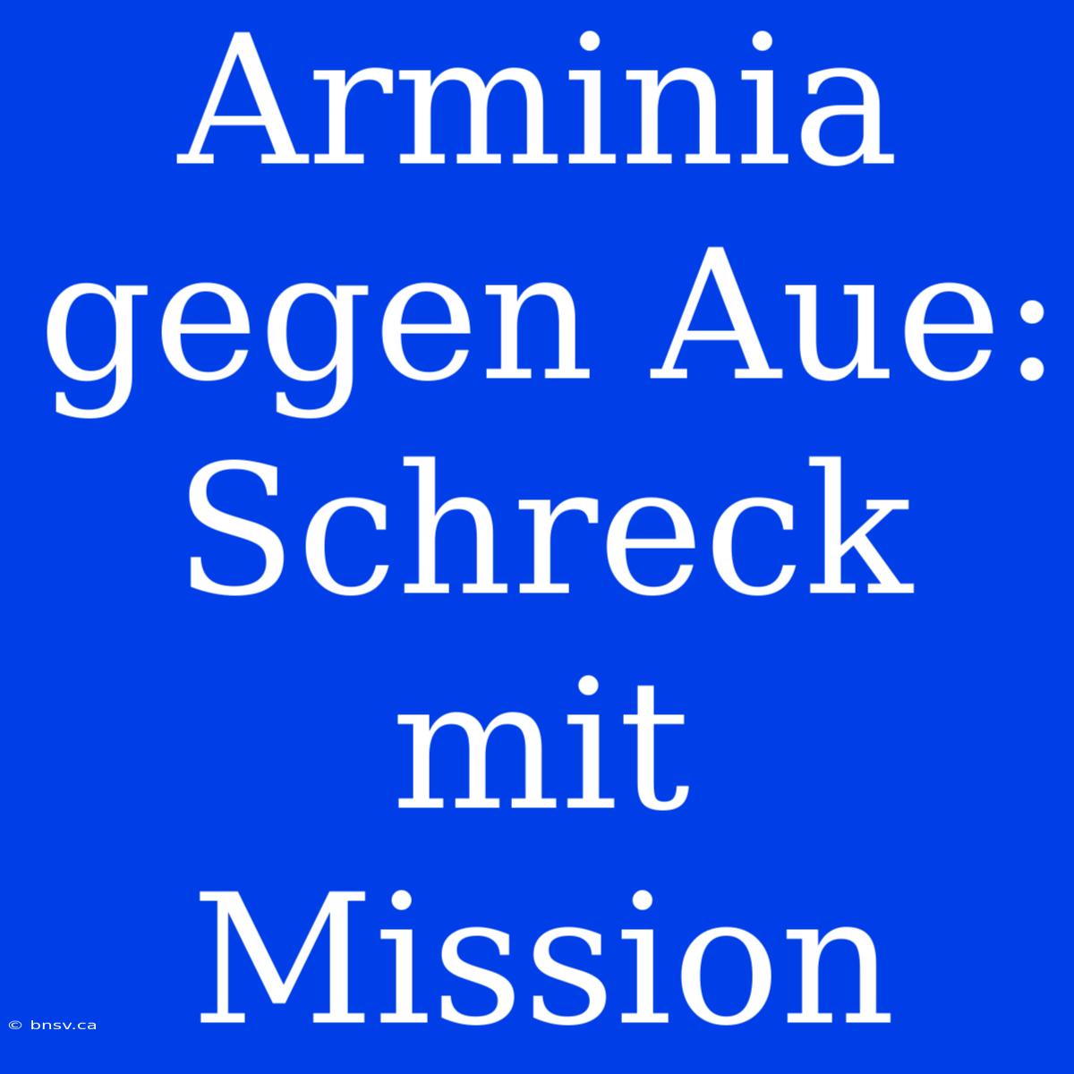 Arminia Gegen Aue: Schreck Mit Mission