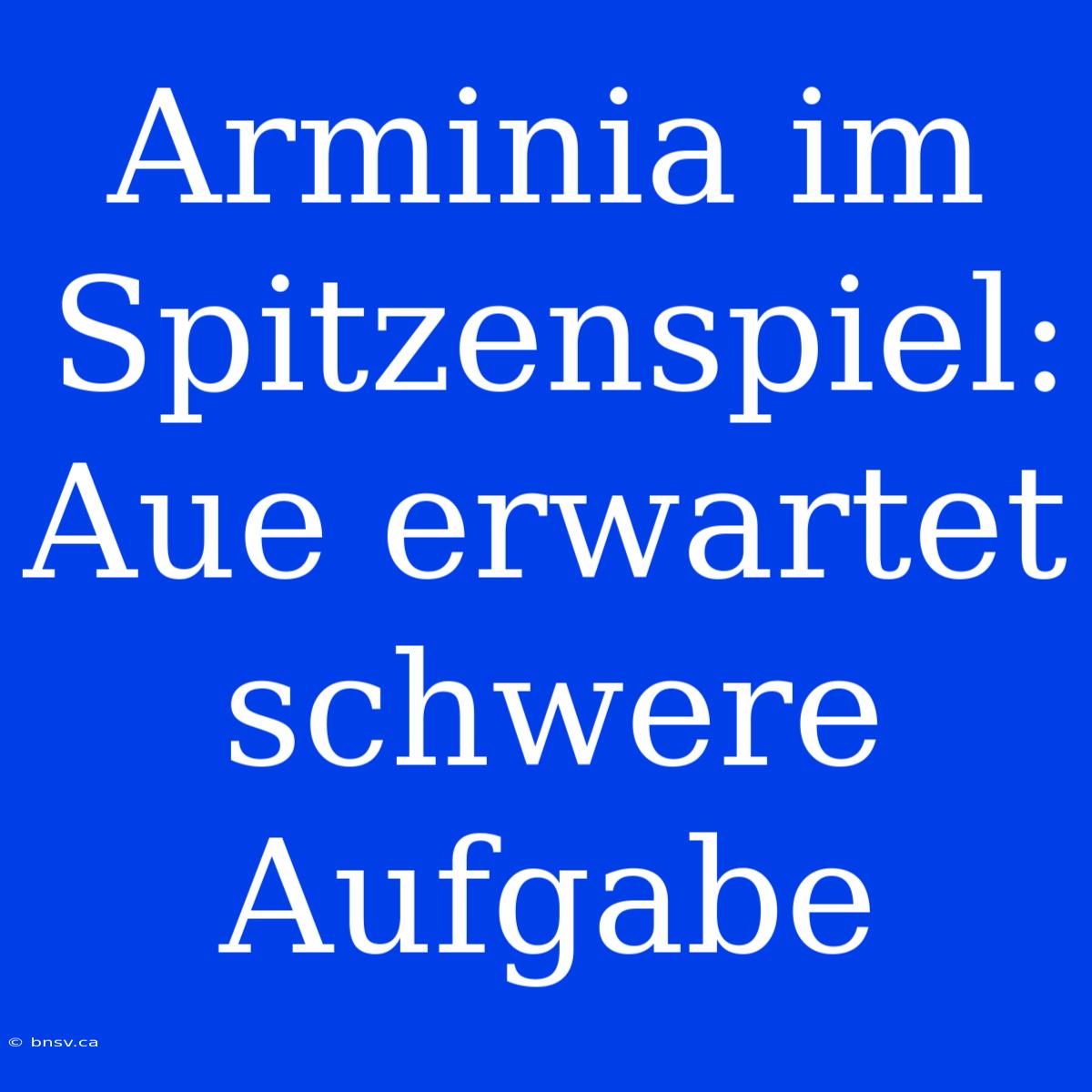 Arminia Im Spitzenspiel: Aue Erwartet Schwere Aufgabe