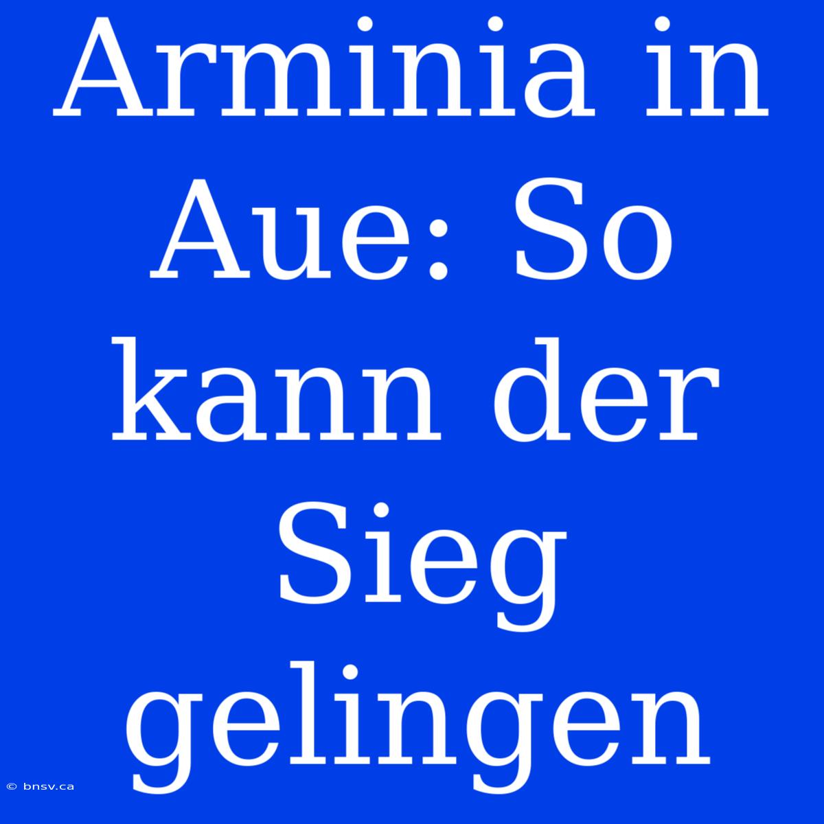 Arminia In Aue: So Kann Der Sieg Gelingen