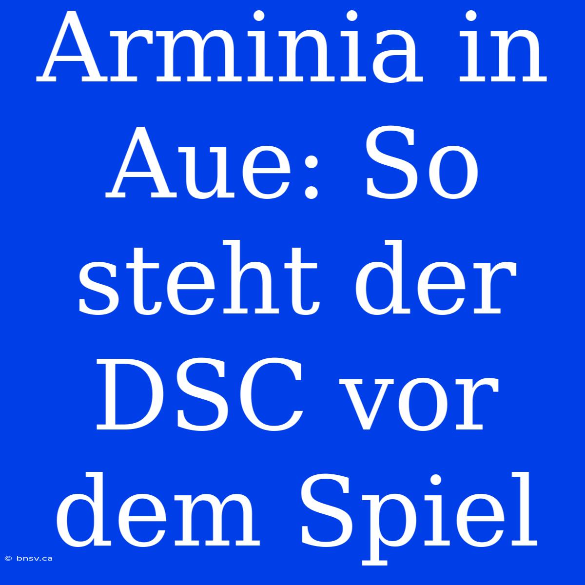 Arminia In Aue: So Steht Der DSC Vor Dem Spiel