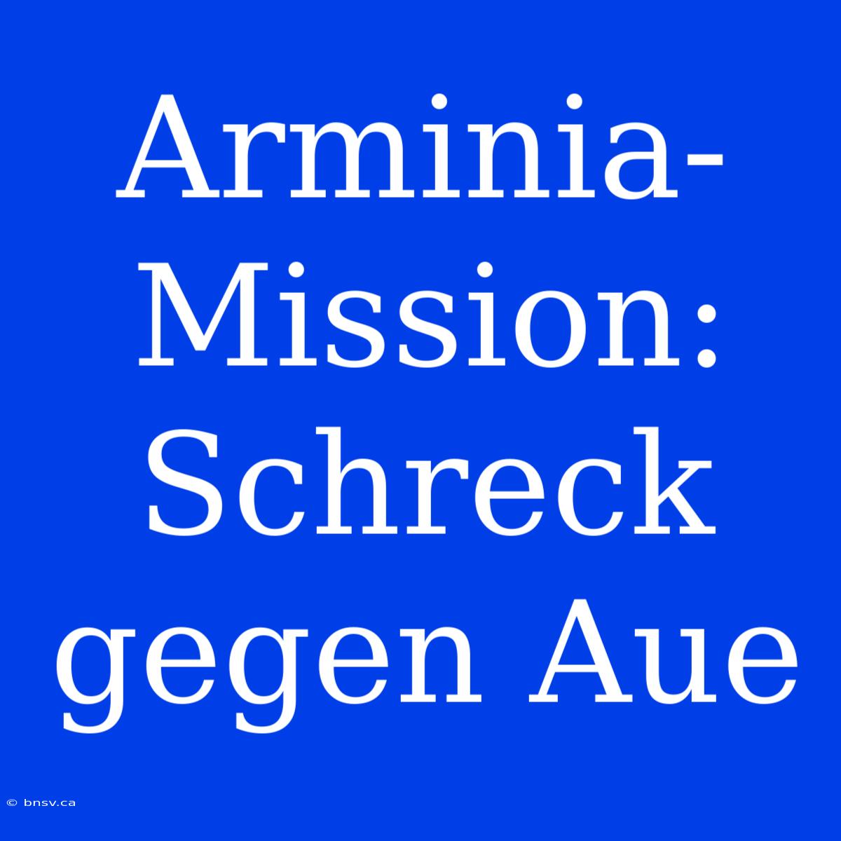 Arminia-Mission: Schreck Gegen Aue