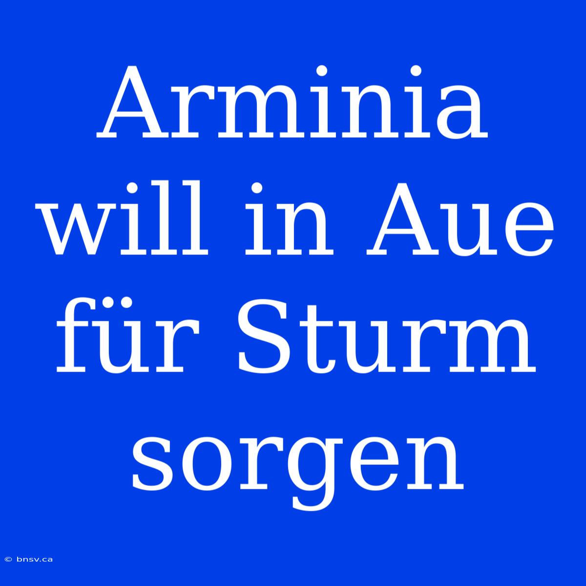 Arminia Will In Aue Für Sturm Sorgen