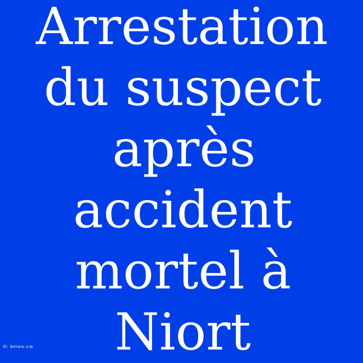 Arrestation Du Suspect Après Accident Mortel À Niort