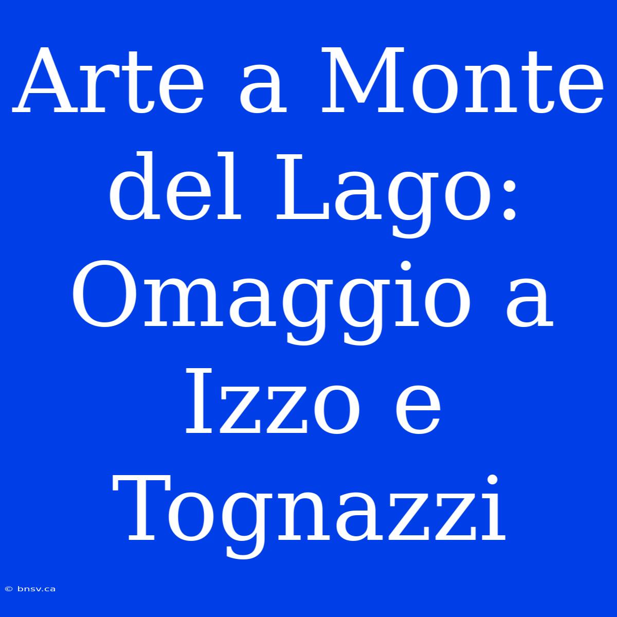 Arte A Monte Del Lago: Omaggio A Izzo E Tognazzi