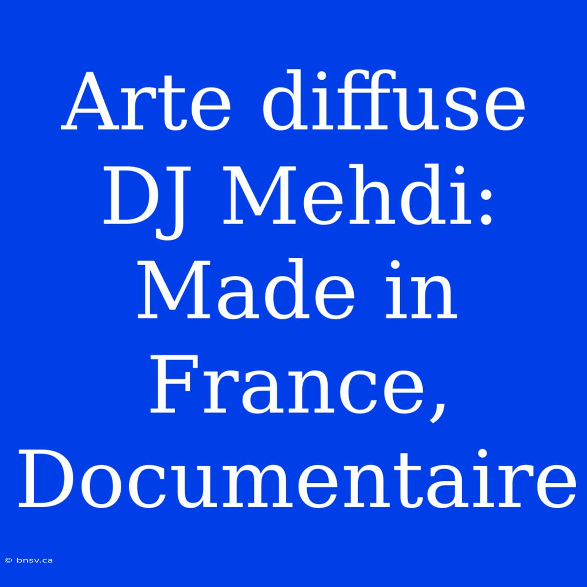 Arte Diffuse DJ Mehdi: Made In France, Documentaire