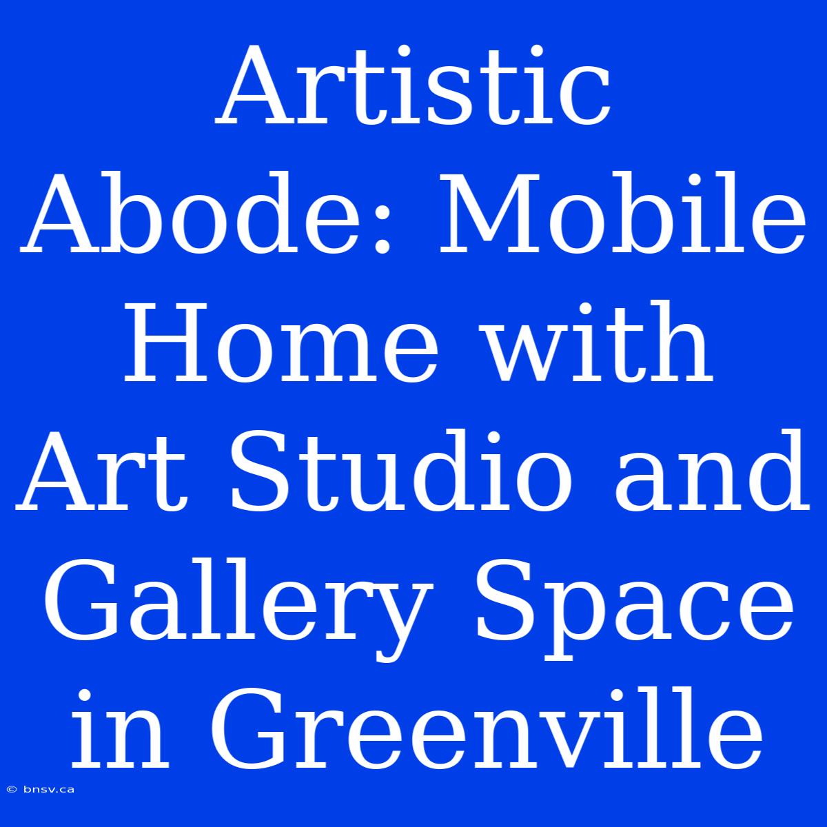 Artistic Abode: Mobile Home With Art Studio And Gallery Space In Greenville