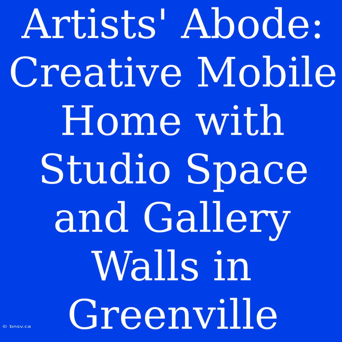 Artists' Abode: Creative Mobile Home With Studio Space And Gallery Walls In Greenville