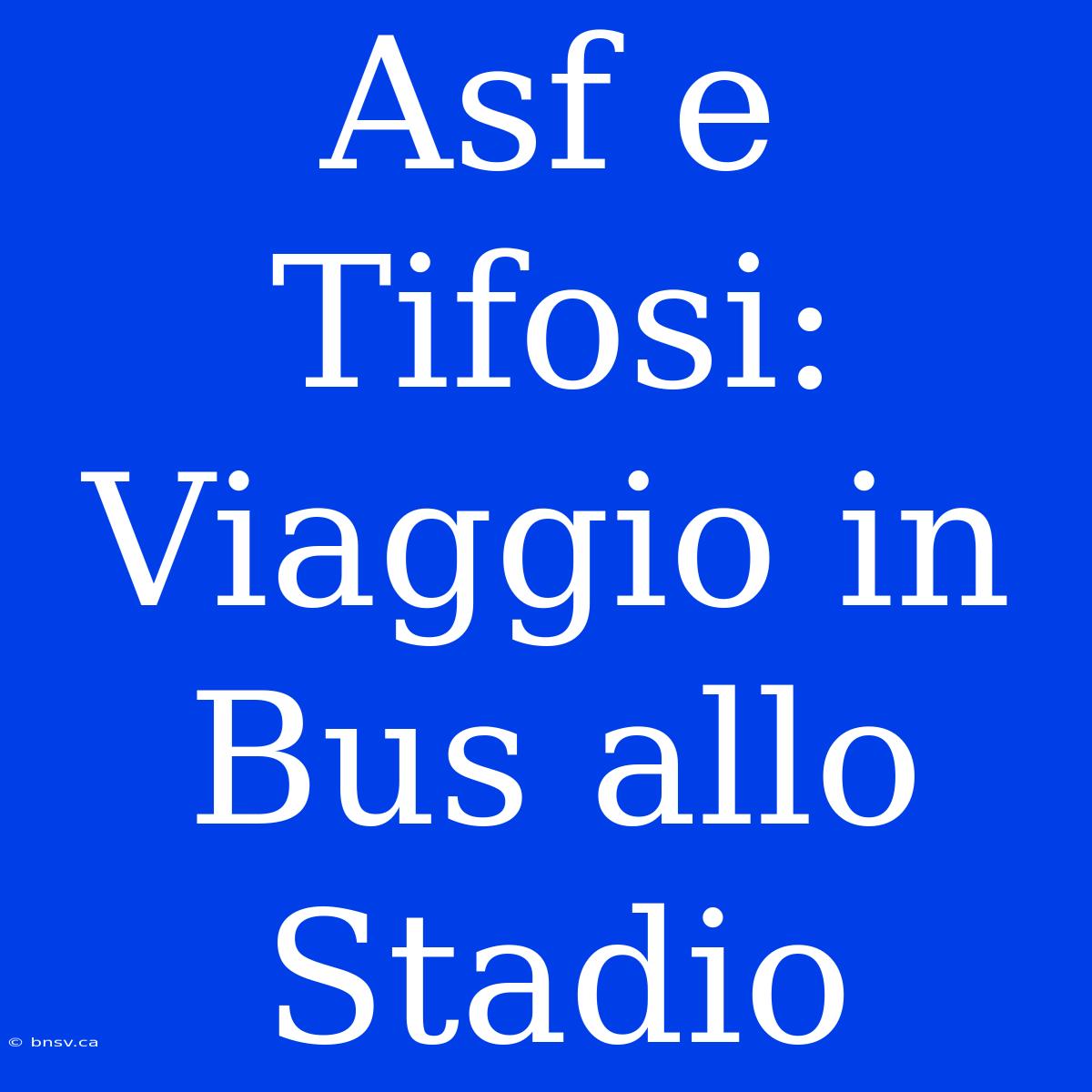 Asf E Tifosi: Viaggio In Bus Allo Stadio