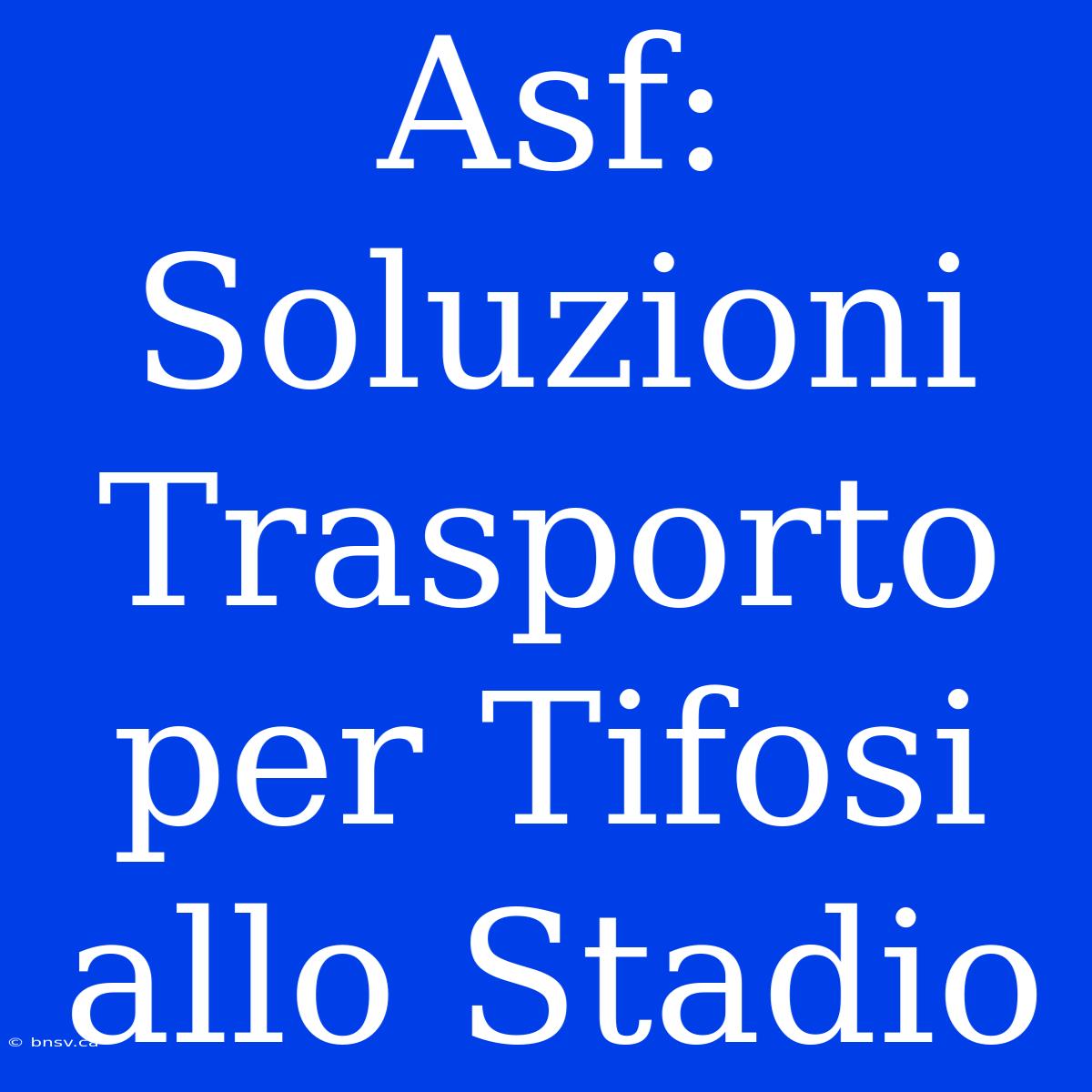 Asf: Soluzioni Trasporto Per Tifosi Allo Stadio