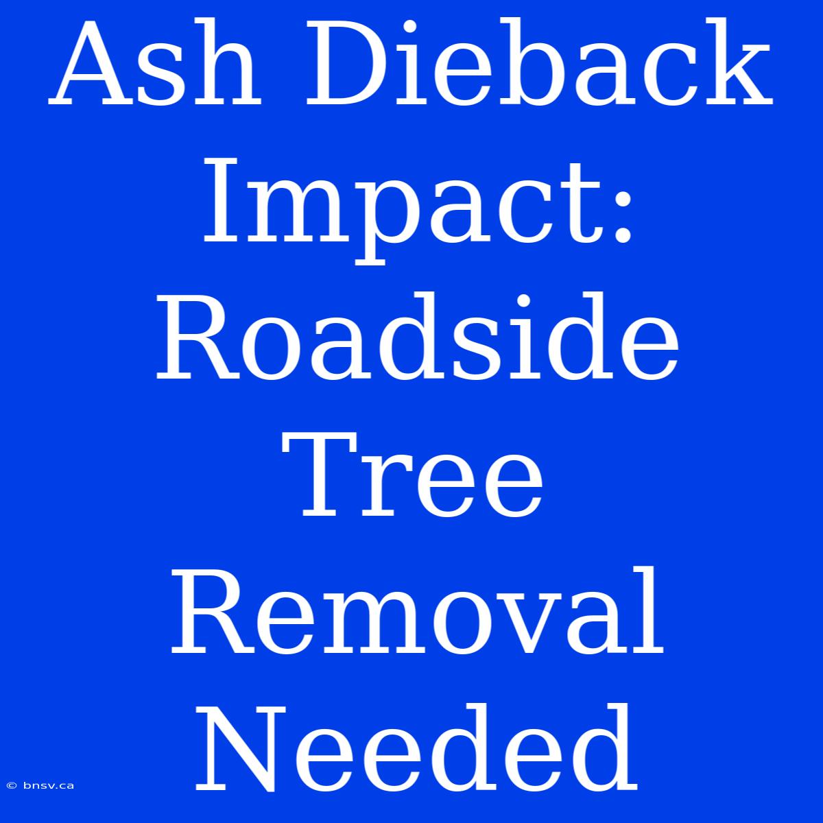 Ash Dieback Impact: Roadside Tree Removal Needed