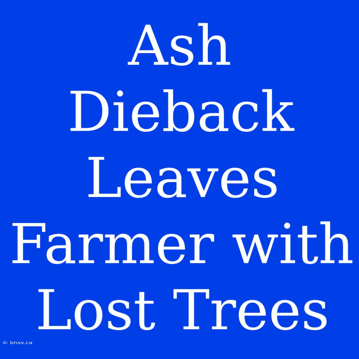 Ash Dieback Leaves Farmer With Lost Trees