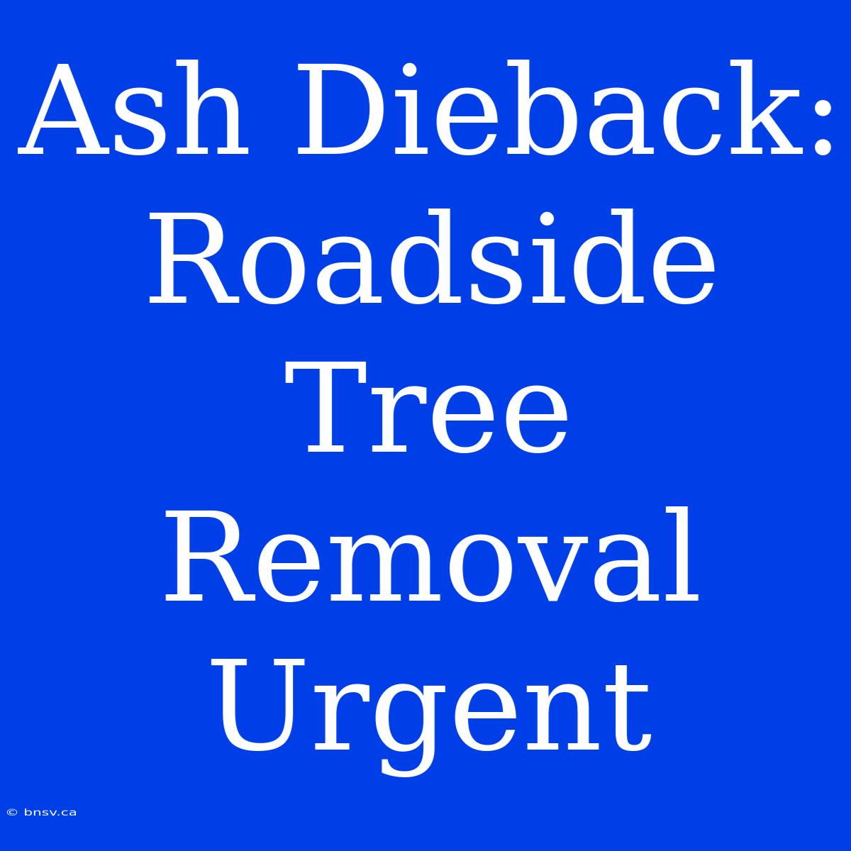 Ash Dieback: Roadside Tree Removal Urgent