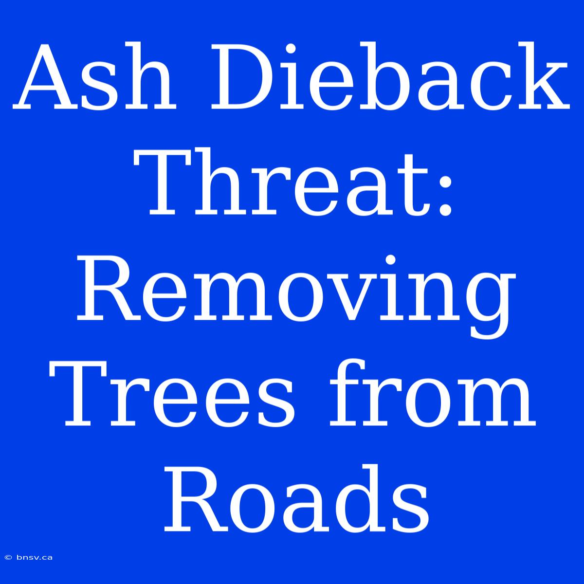 Ash Dieback Threat: Removing Trees From Roads