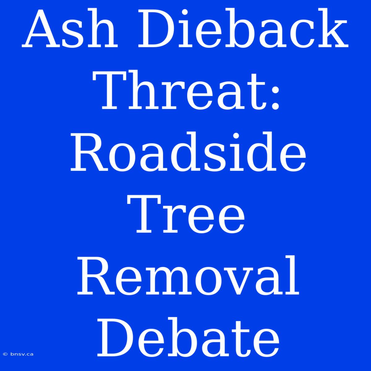 Ash Dieback Threat: Roadside Tree Removal Debate