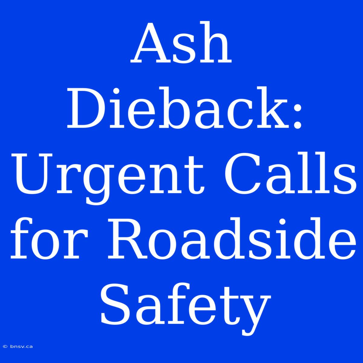 Ash Dieback: Urgent Calls For Roadside Safety