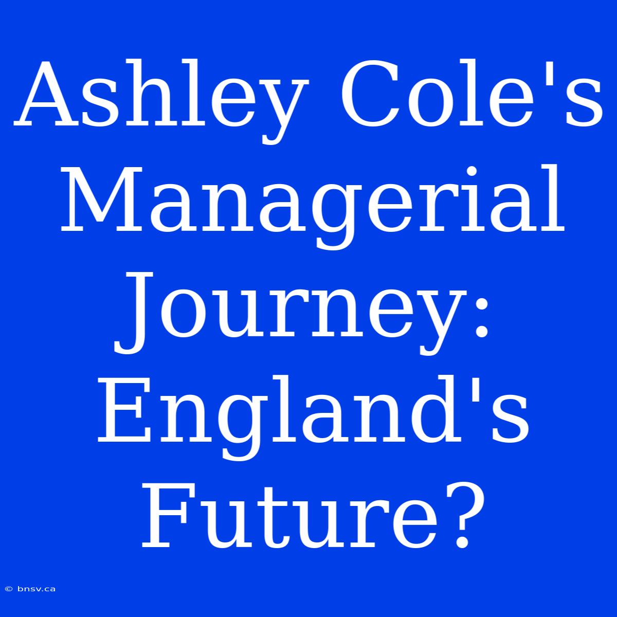 Ashley Cole's Managerial Journey: England's Future?