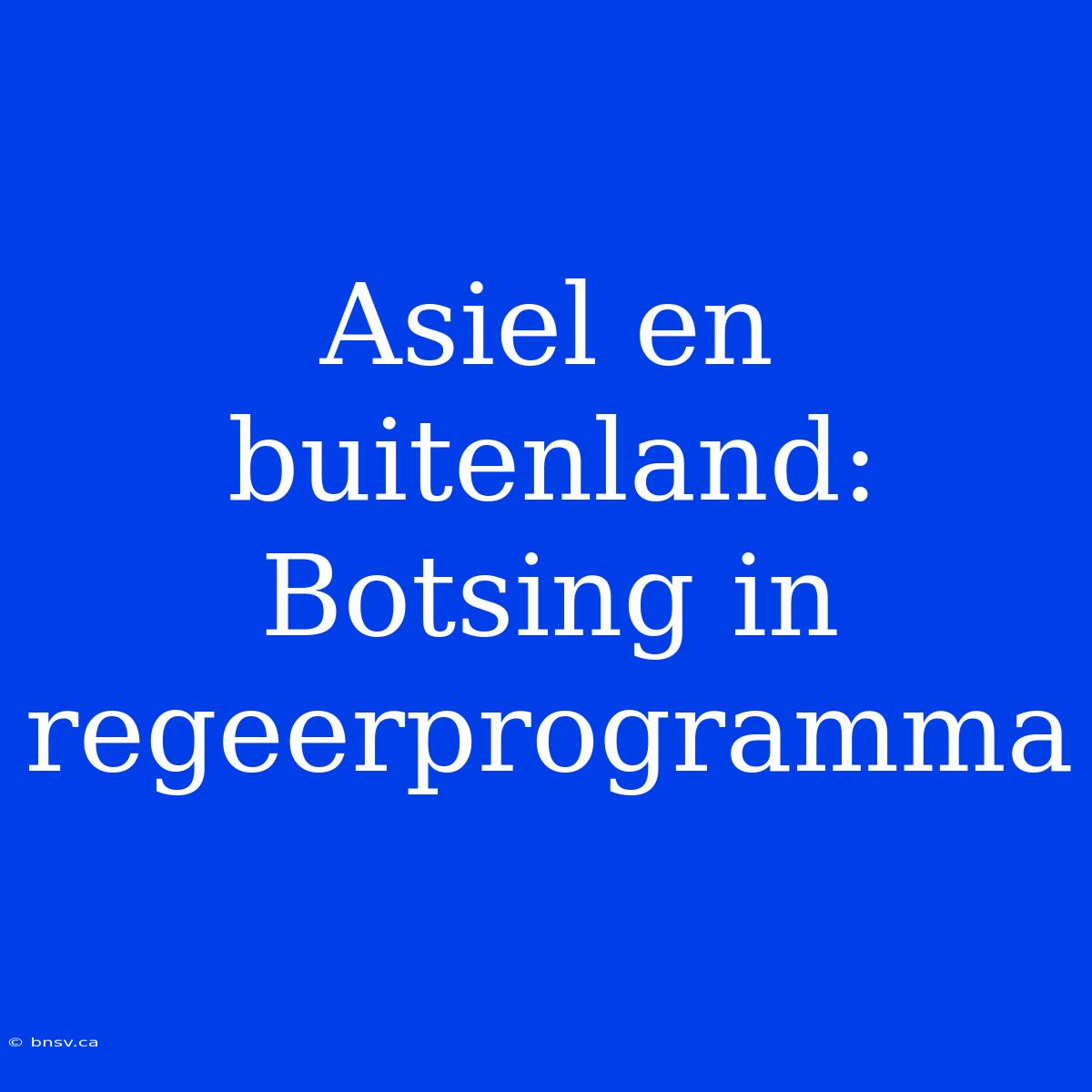 Asiel En Buitenland: Botsing In Regeerprogramma