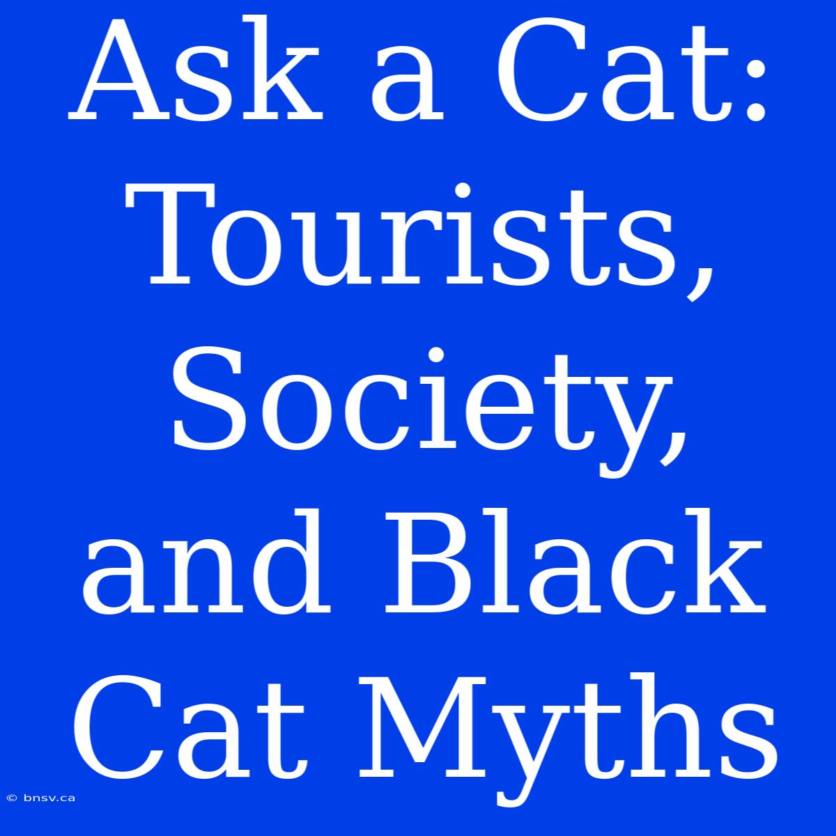 Ask A Cat: Tourists, Society, And Black Cat Myths