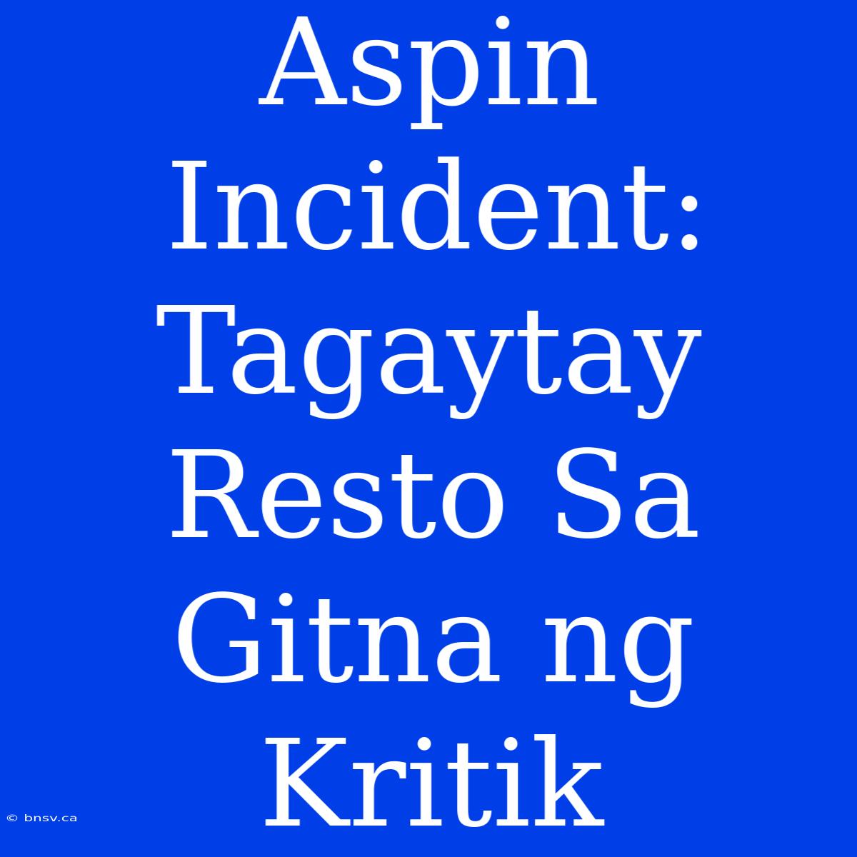 Aspin Incident: Tagaytay Resto Sa Gitna Ng Kritik