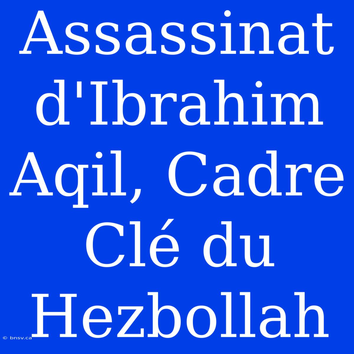 Assassinat D'Ibrahim Aqil, Cadre Clé Du Hezbollah