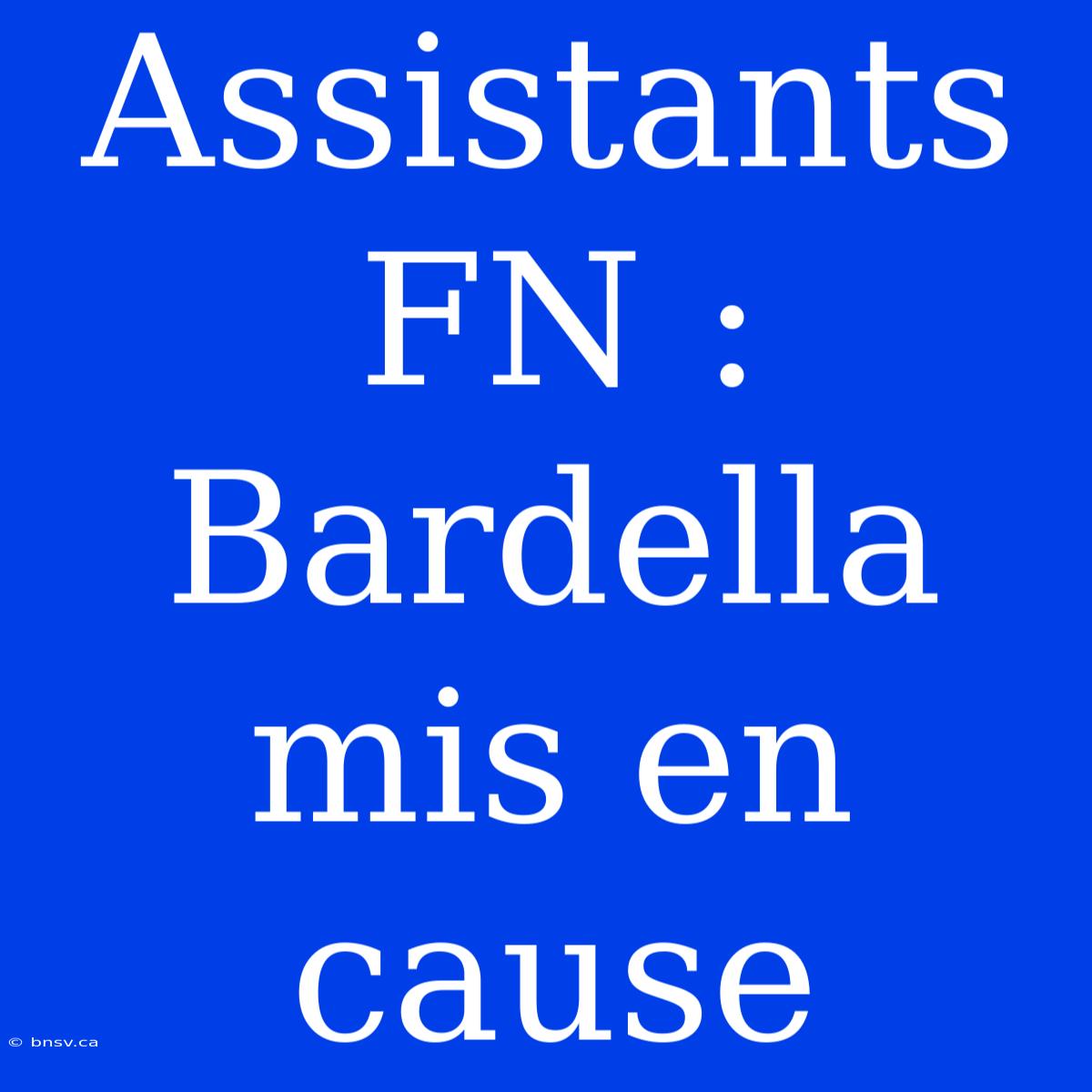 Assistants FN : Bardella Mis En Cause