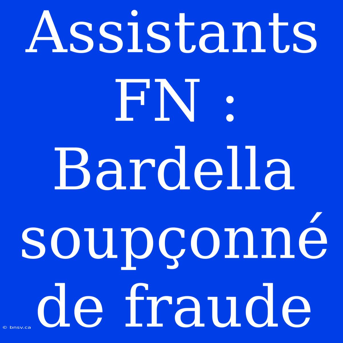 Assistants FN : Bardella Soupçonné De Fraude