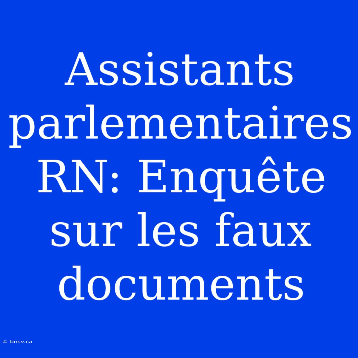 Assistants Parlementaires RN: Enquête Sur Les Faux Documents