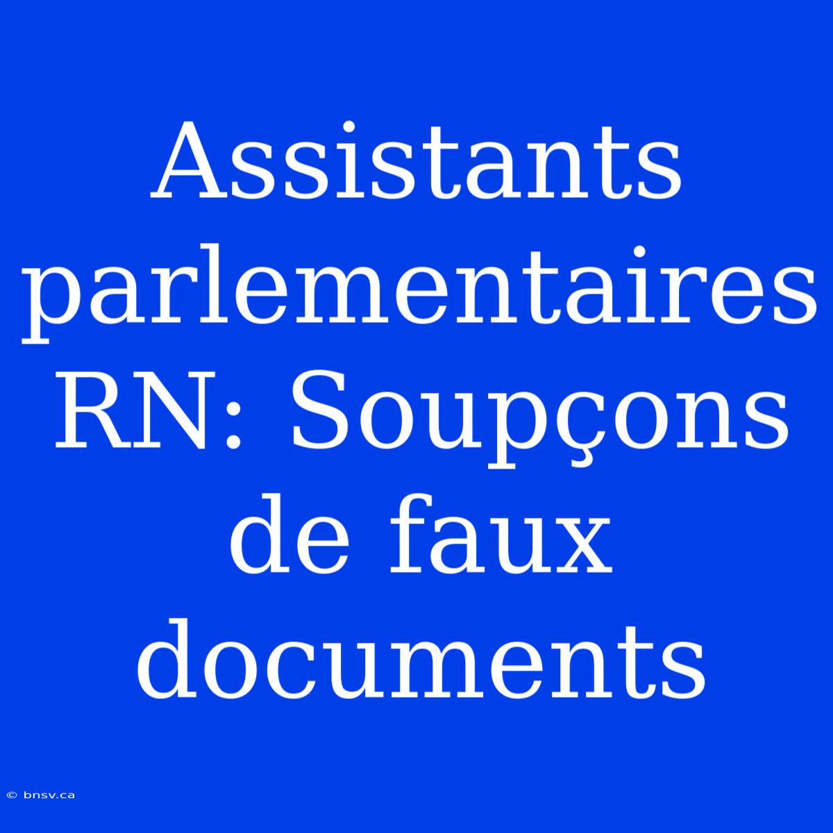 Assistants Parlementaires RN: Soupçons De Faux Documents