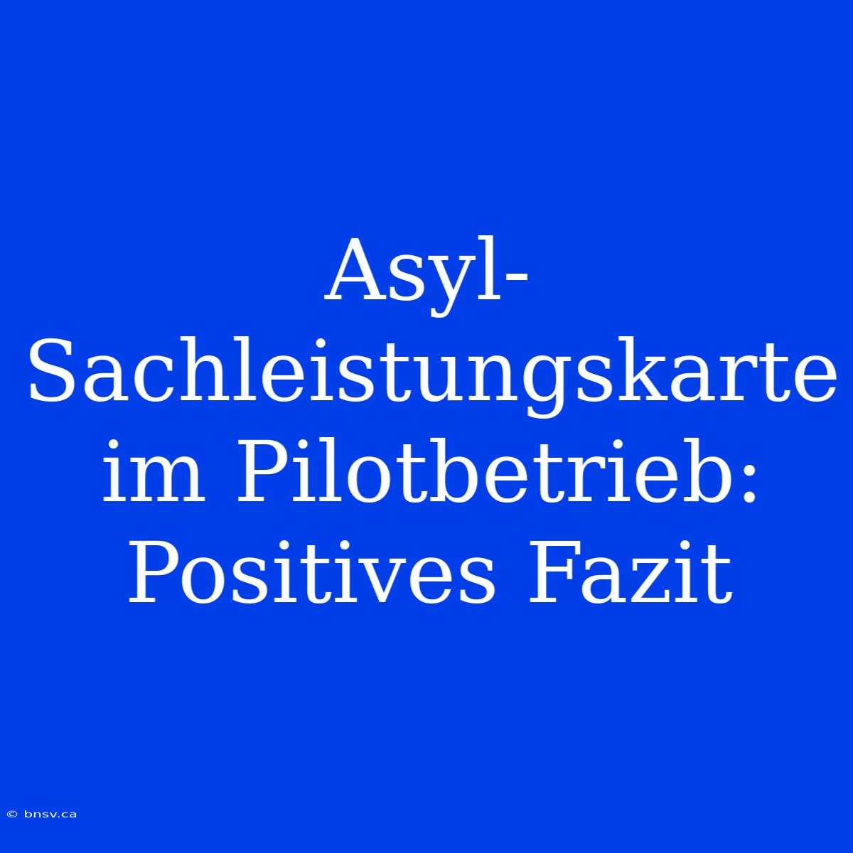 Asyl-Sachleistungskarte Im Pilotbetrieb: Positives Fazit