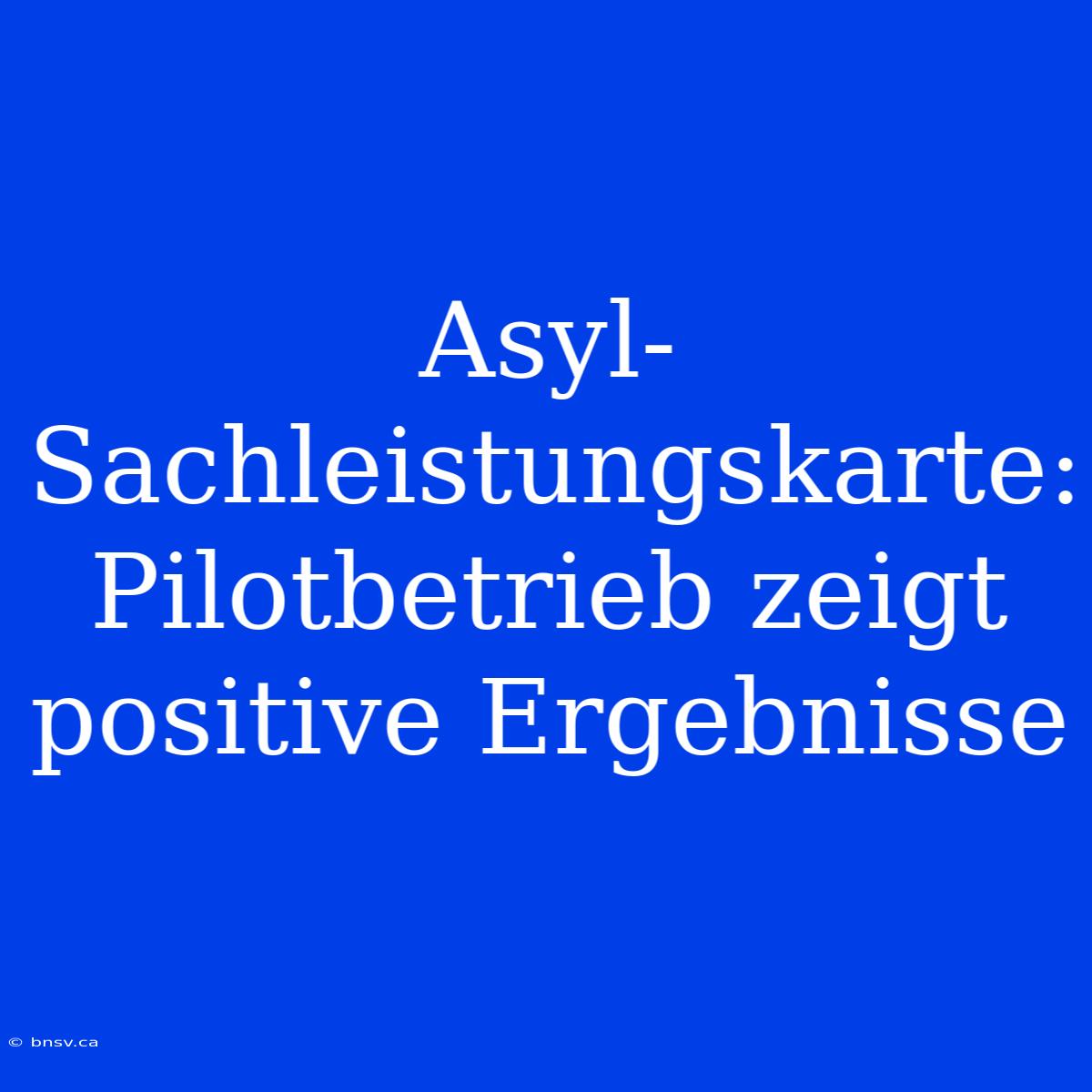 Asyl-Sachleistungskarte: Pilotbetrieb Zeigt Positive Ergebnisse