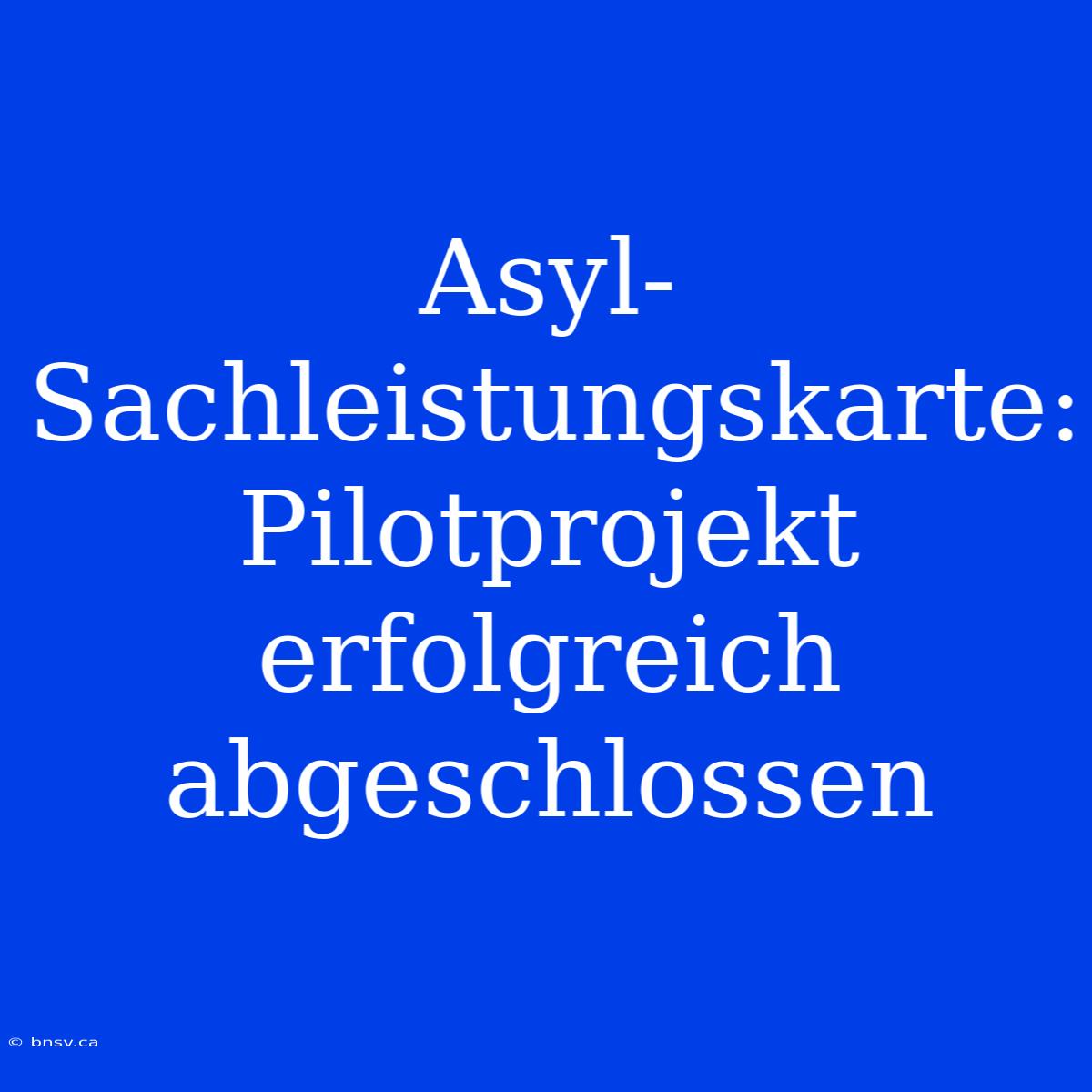 Asyl-Sachleistungskarte: Pilotprojekt Erfolgreich Abgeschlossen