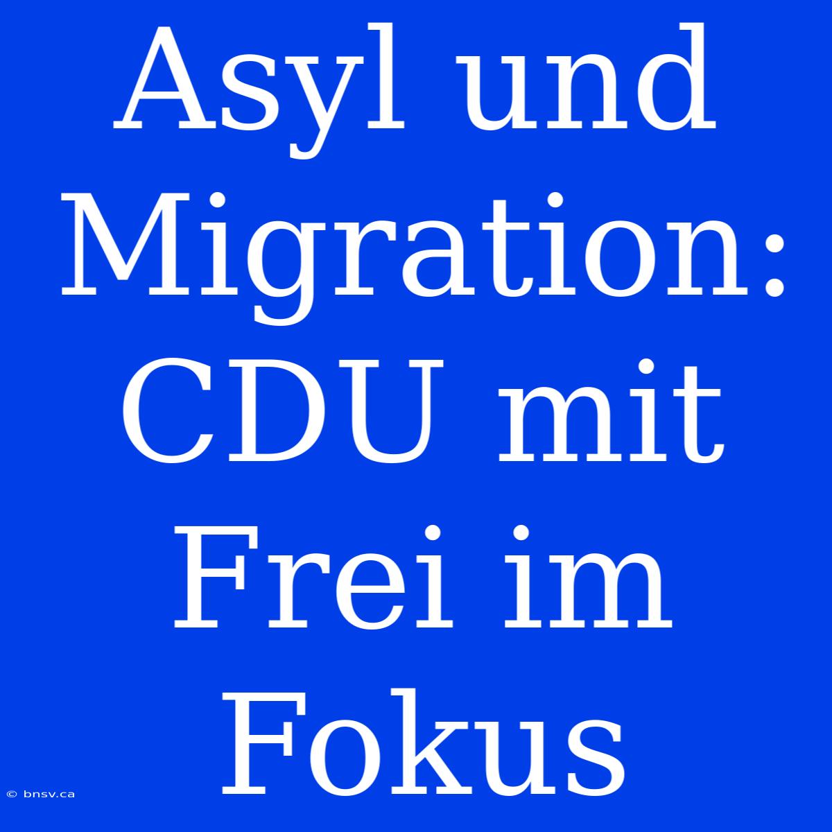 Asyl Und Migration: CDU Mit Frei Im Fokus