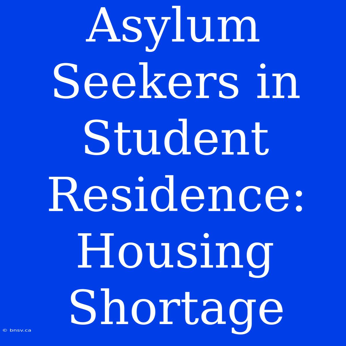 Asylum Seekers In Student Residence: Housing Shortage