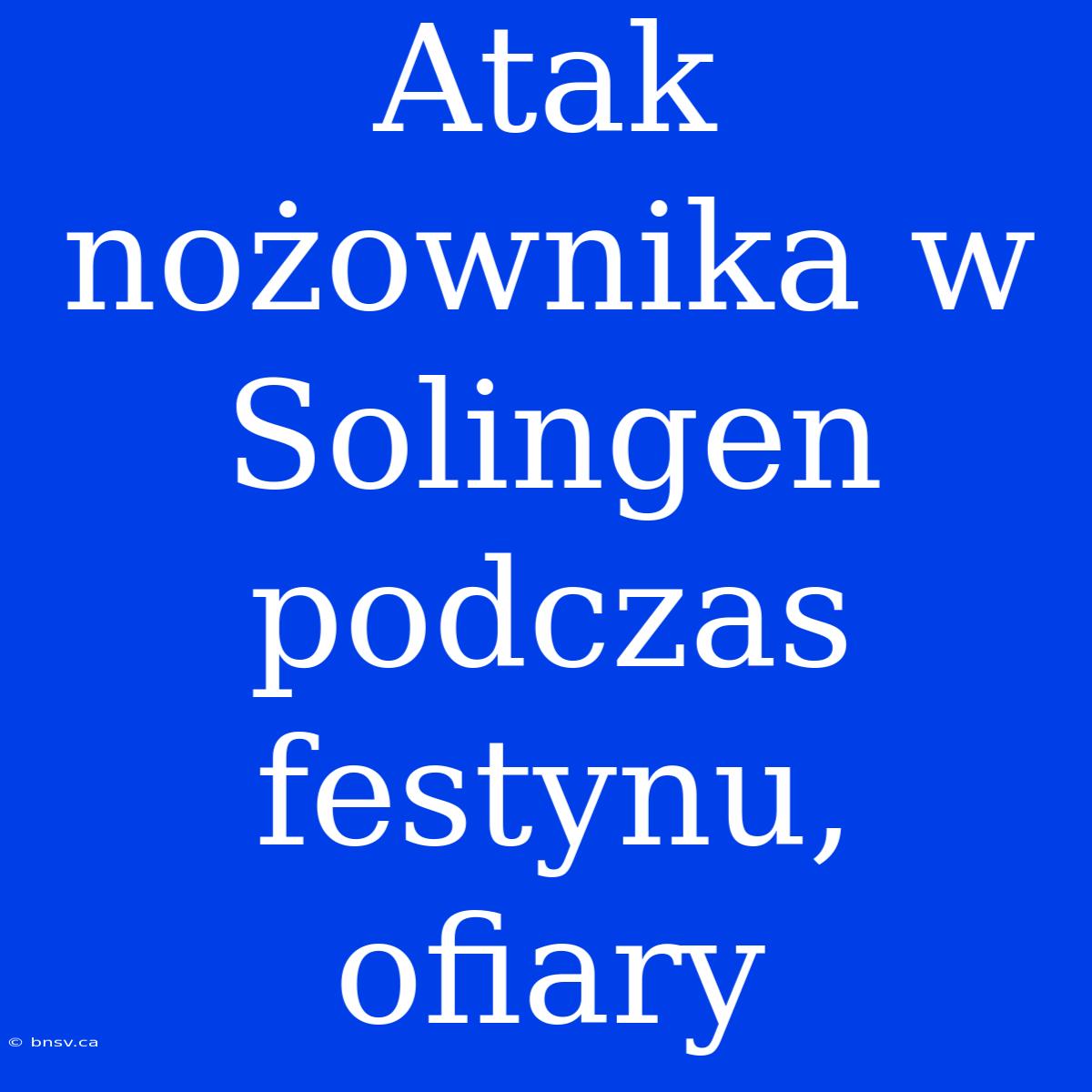 Atak Nożownika W Solingen Podczas Festynu, Ofiary