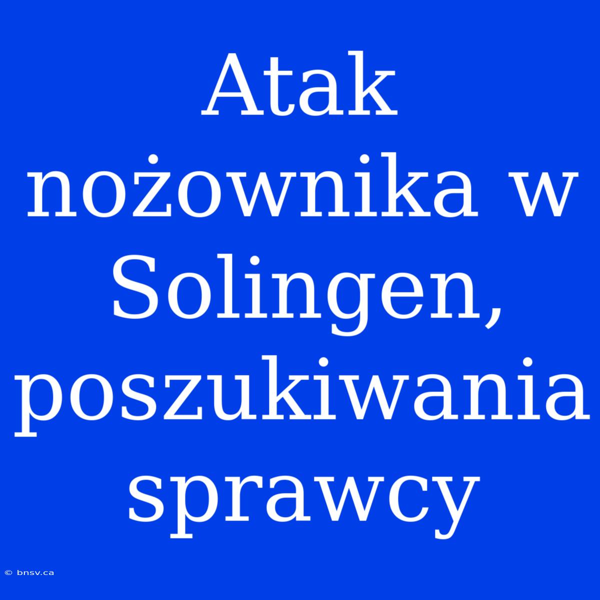 Atak Nożownika W Solingen, Poszukiwania Sprawcy