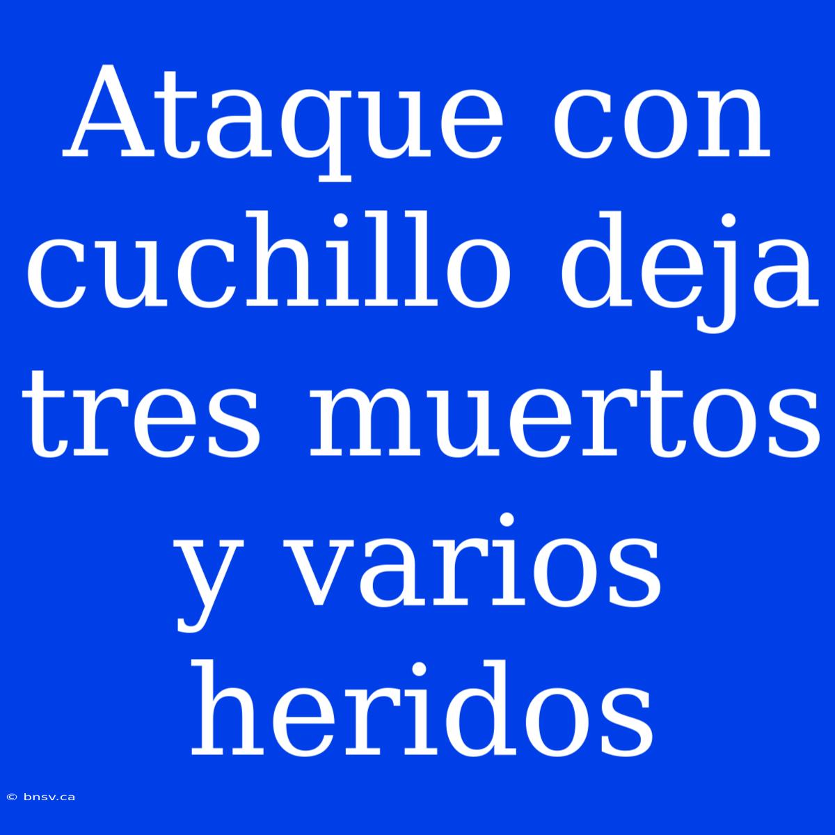 Ataque Con Cuchillo Deja Tres Muertos Y Varios Heridos