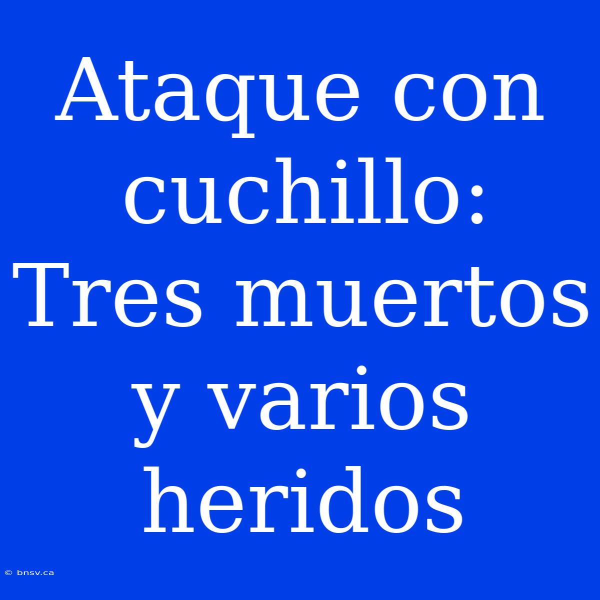 Ataque Con Cuchillo: Tres Muertos Y Varios Heridos