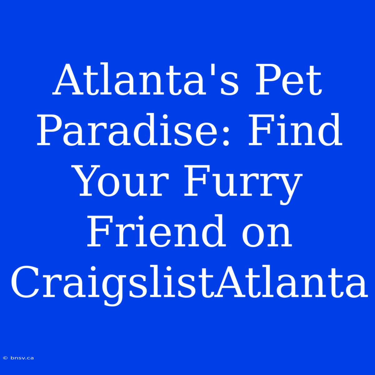 Atlanta's Pet Paradise: Find Your Furry Friend On CraigslistAtlanta