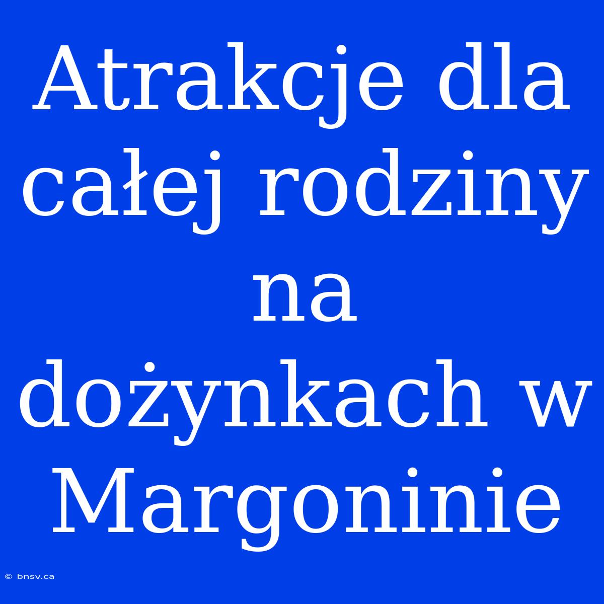 Atrakcje Dla Całej Rodziny Na Dożynkach W Margoninie