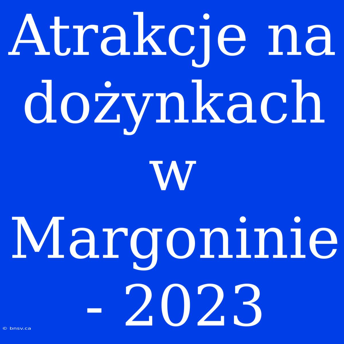 Atrakcje Na Dożynkach W Margoninie - 2023