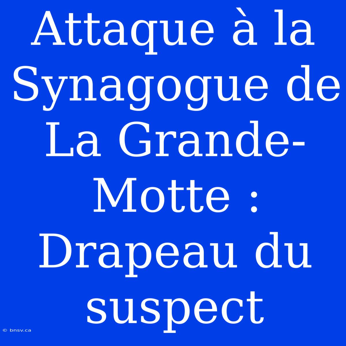 Attaque À La Synagogue De La Grande-Motte : Drapeau Du Suspect