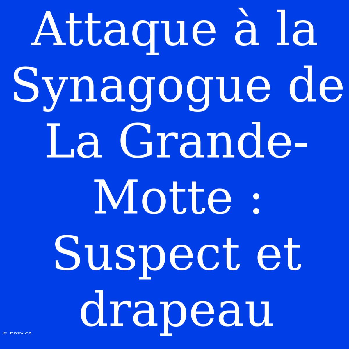 Attaque À La Synagogue De La Grande-Motte : Suspect Et Drapeau