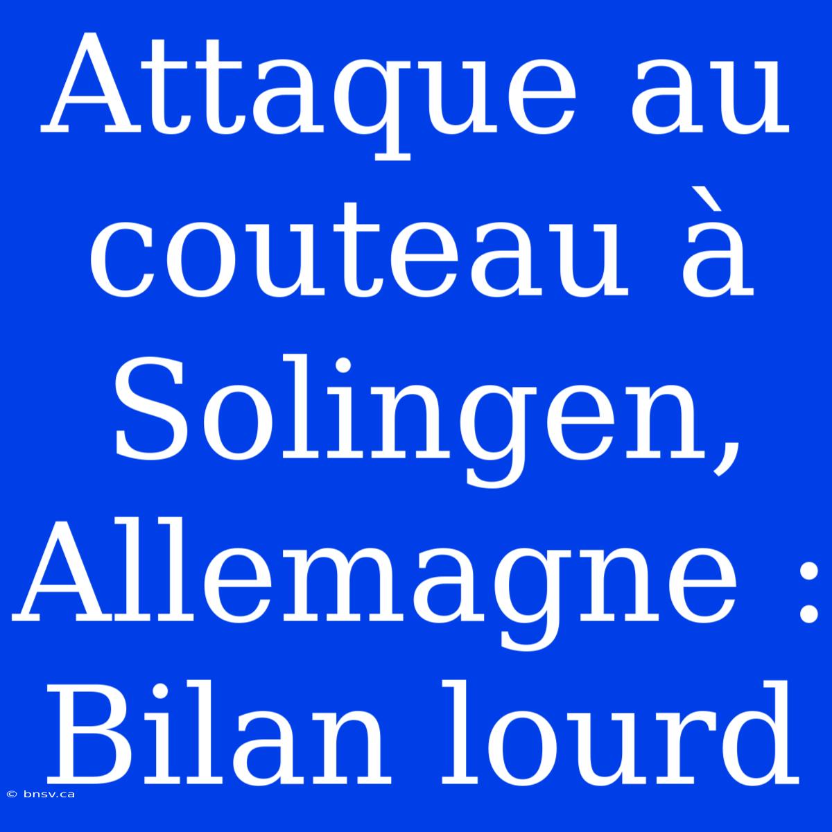 Attaque Au Couteau À Solingen, Allemagne : Bilan Lourd