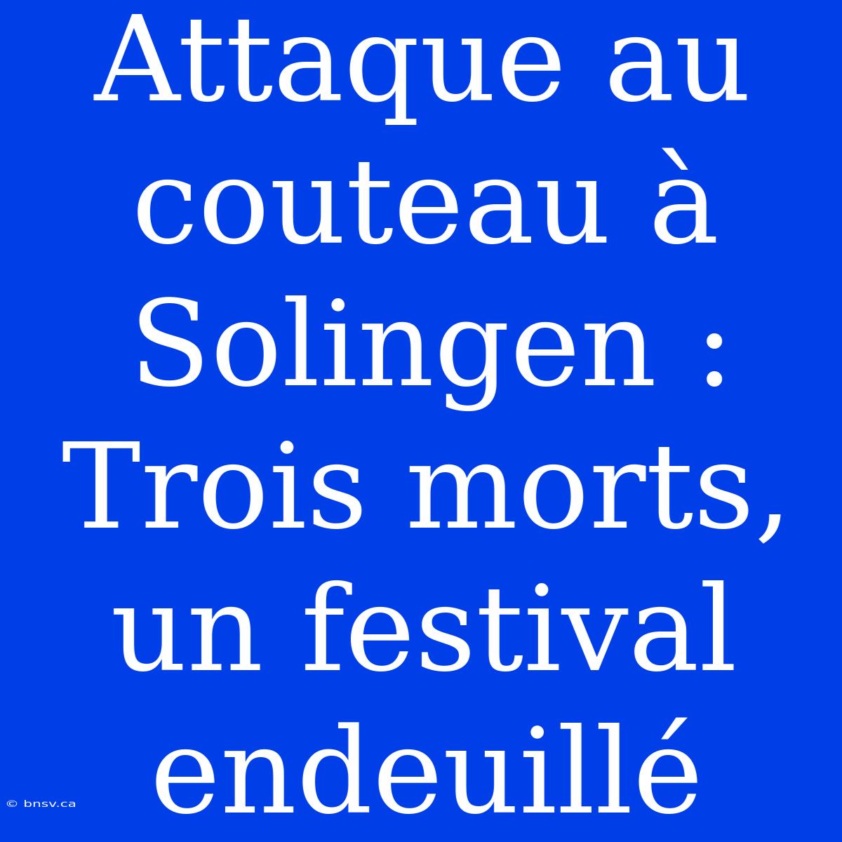 Attaque Au Couteau À Solingen : Trois Morts, Un Festival Endeuillé